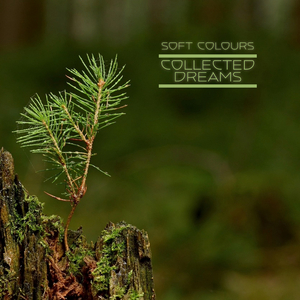 小变态来喽账号查询网站
